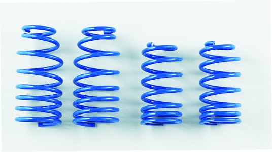 Spoon Progressive Springs