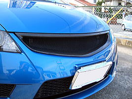 Backyard Special Front Grille (FRP)