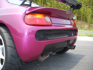 Backyard Special Bootlid (FRP)