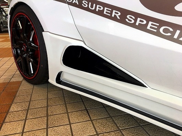 Backyard Special Side Skirts (FRP)