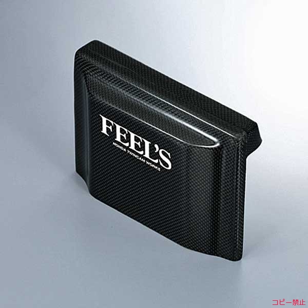 FEEL's Carbon ECU Cover